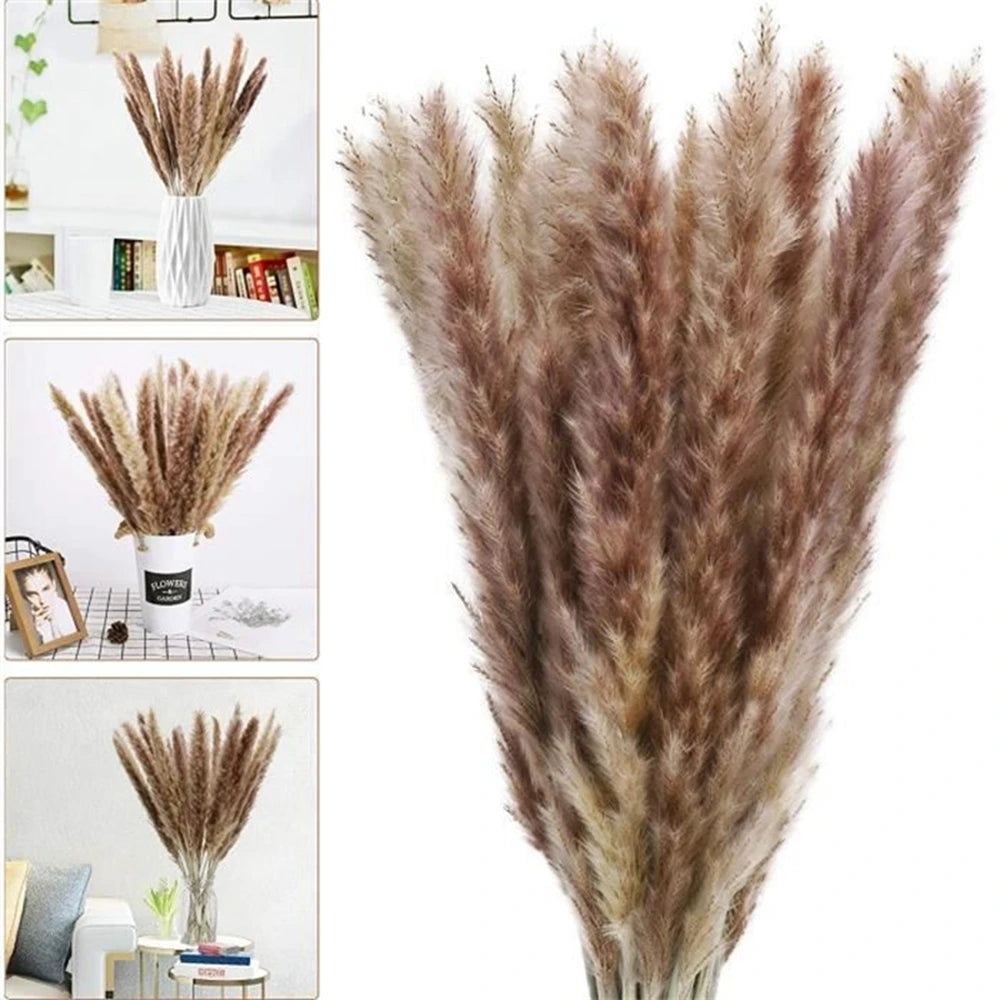 Pampas Grass Decoration Fluffy Wedding Arrangement Decoration