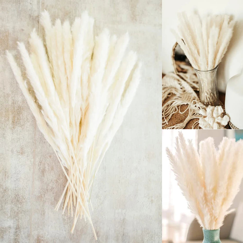 Pampas Grass Decoration Fluffy Wedding Arrangement Decoration